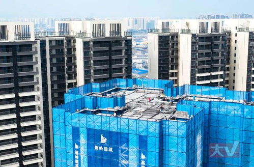 放2次 鴿子 后,南寧奧園說春節(jié)前交房你信嗎