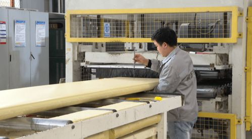 我區(qū)5家企業(yè)獲國(guó)家 小巨人 企業(yè)稱號(hào)